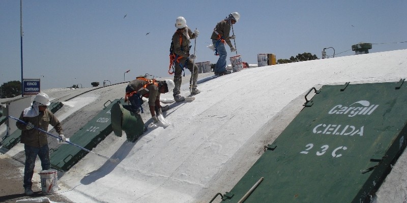 cargill2-800x400