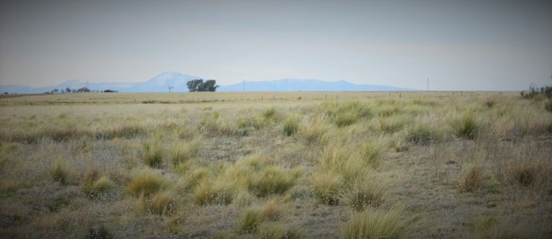 CampoSO