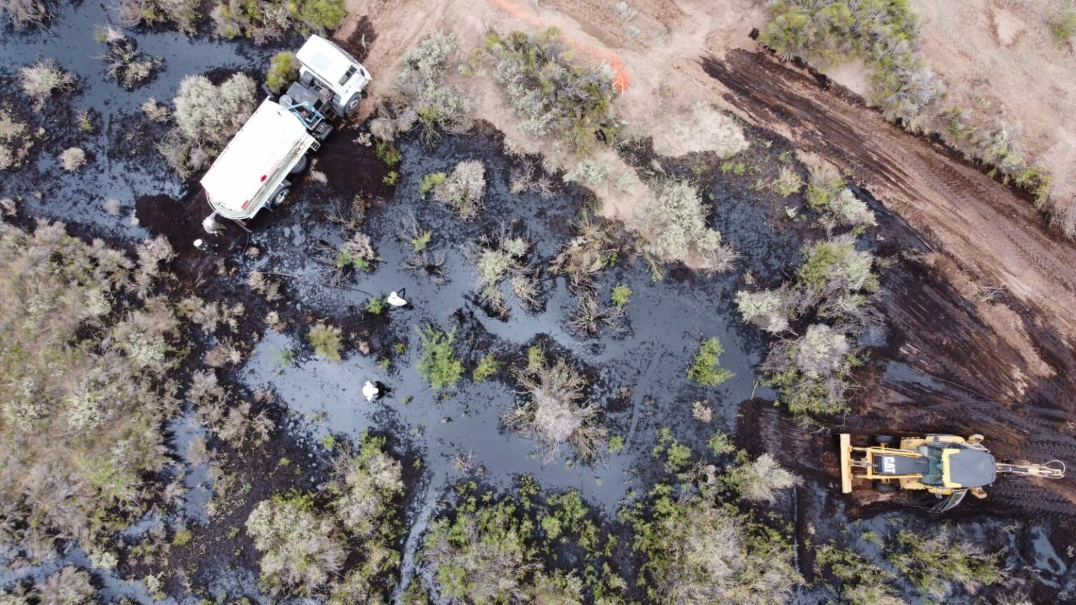 petroleo rio negro