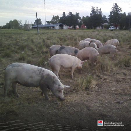 agriculturafamiliar30.05.2022