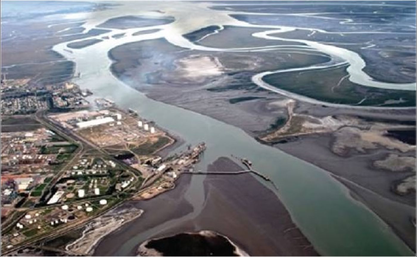 estuario