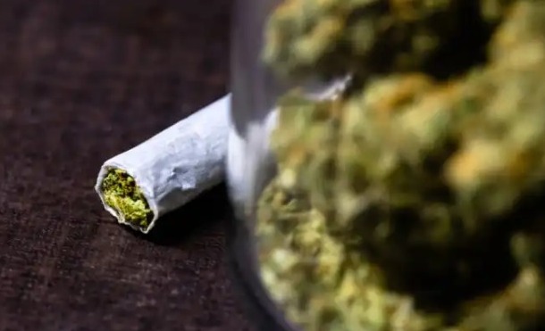 WhatsApp Image 2022-09-06 at 5.00.12 PM