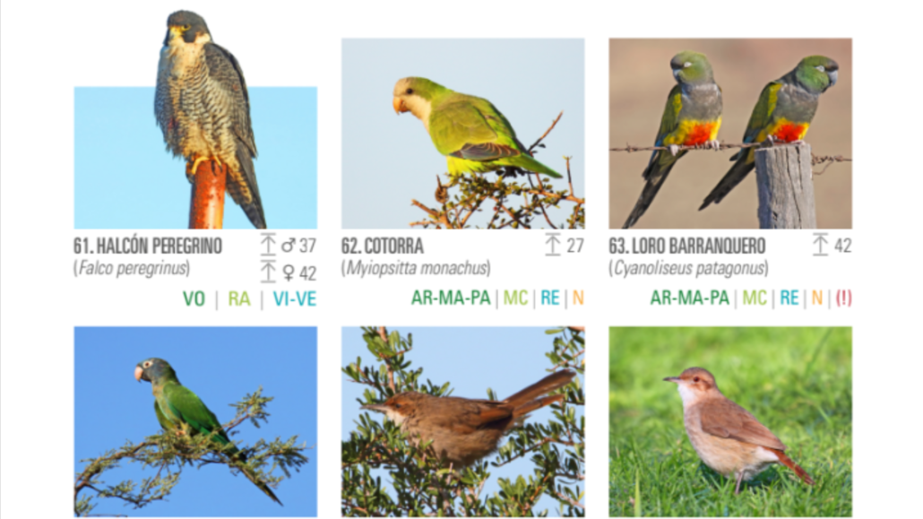 IMAGEN (1)