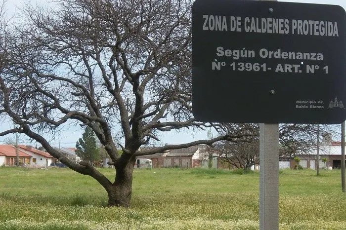 bosquede_caldenes_reservaverde1