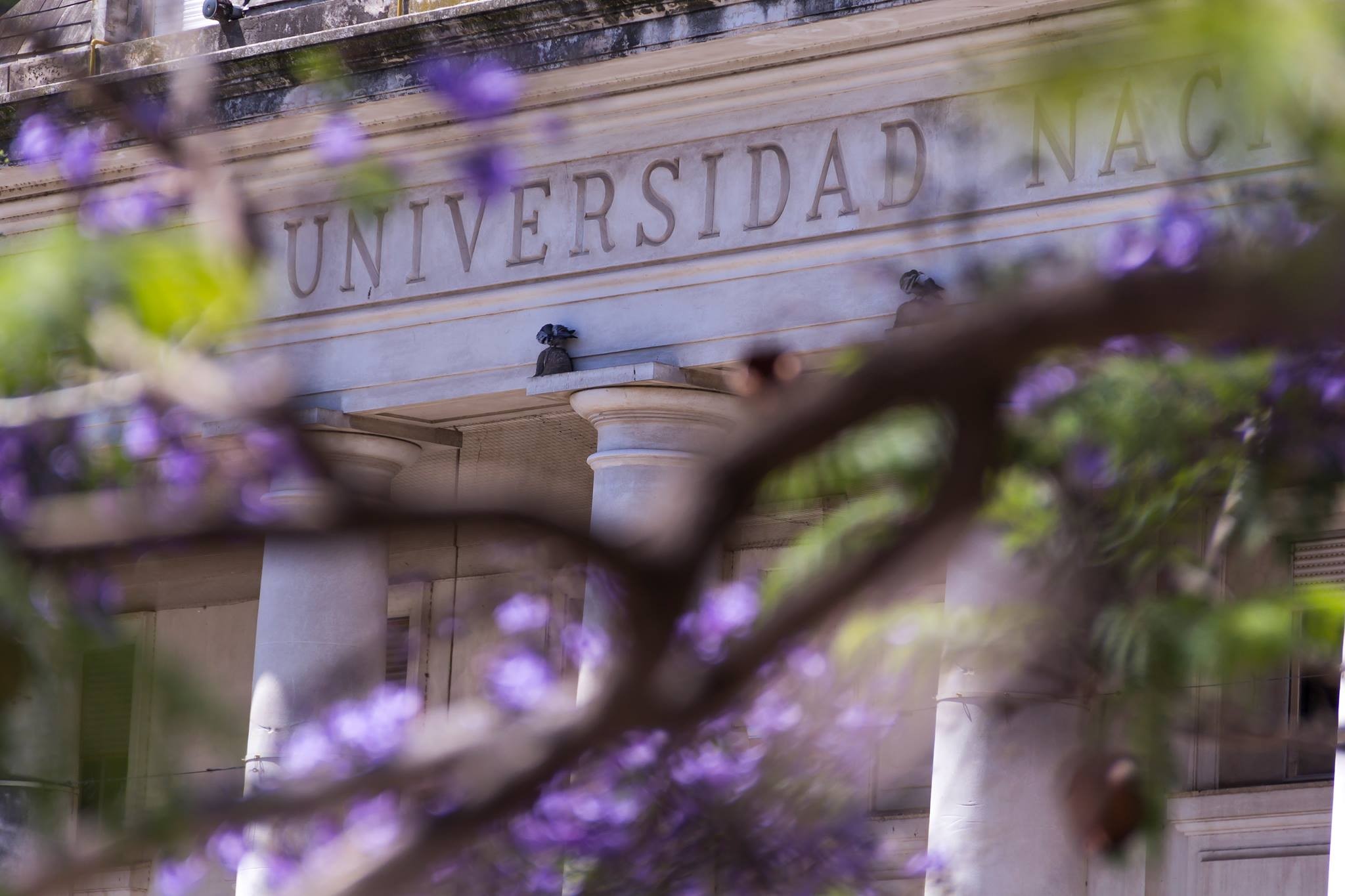 universidad_nacional_del_sur_cover
